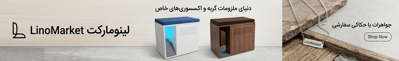 تخفیف ویژه